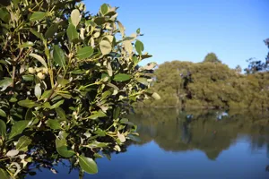 2025-06-21 Bartons Park - IMG_2444_compressed_q50.webp